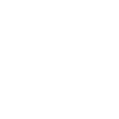 Scaligera Verona